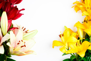 Colorful Flowers frame isolated on white background. Gentle composition with daylilys. Place for text and greetings. Valentine's Day. Top view