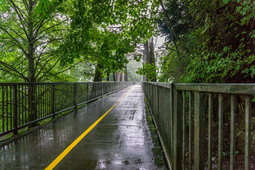 Bridge In The Rain