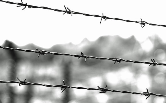 three lines of barbed wire with thorns