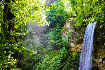 Fototapeta na wymiar The magical feeling of a waterfall in the greenest forests on a sunny day.