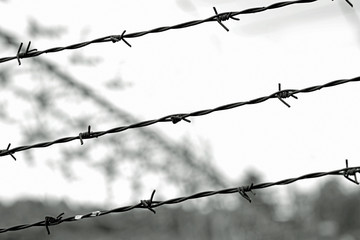 Fototapeta na wymiar barbed wire also called razor wire