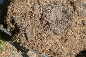 dung in a wheelbarrow, rabbit dung small animal