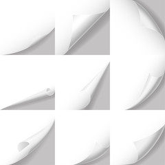 Realistic 3d Detailed White Curled Corners Set. Vector
