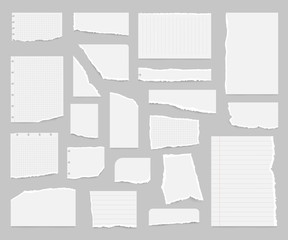 Realistic Detailed 3d Paper Scraps Set. Vector