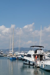 Naklejka premium yachts in harbor