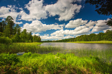 Gorgeous nature landscape on a summer day. Green plants, mirror water surface and blue sky with snow white clouds. Amazing nature landscape background.	