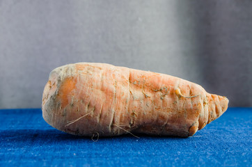 ugly orange carrot on a blue background