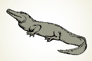 Crocodile. Vector drawing icon sign