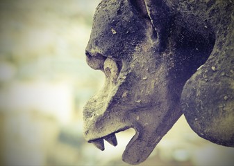 detail of the monstrous statue called Gorgolla in the cathedral