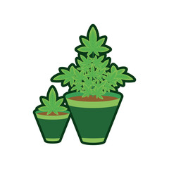 cannabis plant in pot nature icon