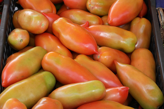 baxes of tomatoes