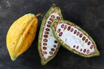 Full cacao pod and one half cut