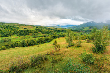 beautiful countryside on an overcast day. carpathian rural district in mountains. overcast rainy september sky. birch trees on  hill near agricultural fields on the slope. village in the valley
