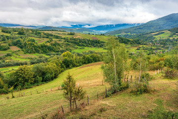 Naklejka premium beautiful countryside on an overcast day. carpathian rural district in mountains. overcast rainy september sky. birch trees on hill near agricultural fields on the slope. village in the valley