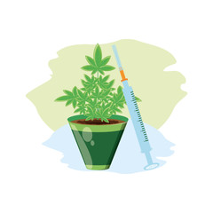 cannabis plant in pot with syringe