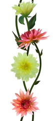 Fototapeta premium Flowers. Floral background. Seamless pattern. Dahlia. Green leaves.