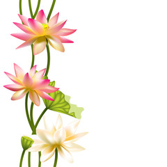 Flowers. Floral background. Seamless pattern. Lotus. Water lily. Petals. Green leaves. Tropical. Exotic.