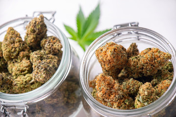 Cannabis buds on clear glass jars isolated on white