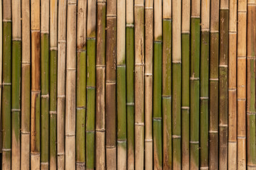 Bamboo texture, wood background, Bamboo plank backdrop, wallpaper