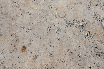 White concrete background cement textured