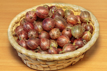 Obraz premium Freshly picked gooseberry in the straw basket close-up. Concept of vegan dessert.