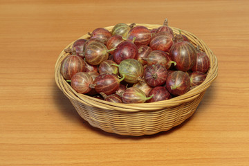 Freshly picked gooseberry in the straw basket close-up. Concept of vegan dessert.