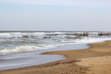 Wave breaker made of wooden stakes on the beach