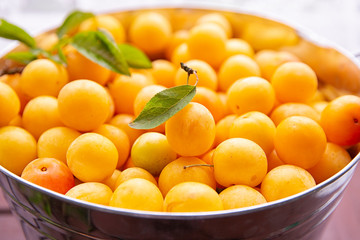 yellow plum mirabelle close-up. Summer fruit season.harvest.