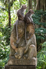 Fototapeta na wymiar Macaques on elephant.