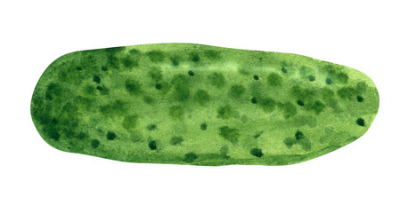 Vegetable, cucumber, hand drawn watercolor illustration isolated on white with clipping path