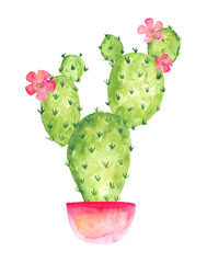 Blooming cactus in a pink pot with flowers, watercolor drawing
