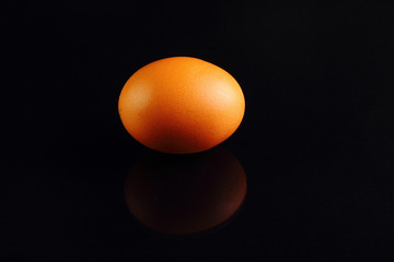 one yellow chicken egg on a black background