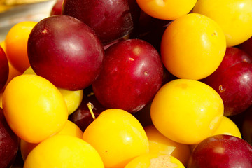 Cropped shot of plums. Food concept. Summer background. Colorful fresh plum. Ripe juicy plums.