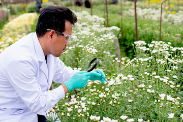 Asian scientist man with white lab gown analysis and record the data of white and multicolor flowers in the garden during day time.