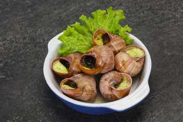 French cuisine - Escargot with sauce