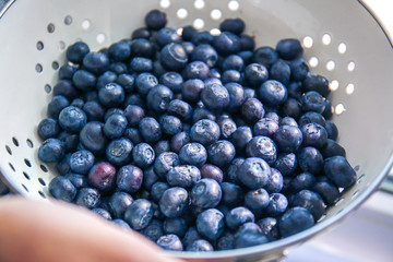 Heap of fresh blueberry in colander, closeup