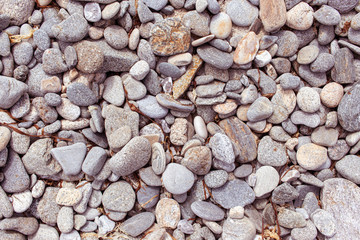 Rolling stones on the coast in summer