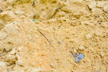 Dirt and sand in random with small stones. Close-up of sand soil background