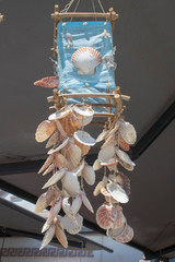 Sea shells handmade ornament handmade. Ayvalik was taken on the island of Cunda.