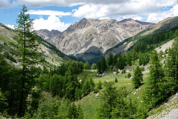 Fototapeta na wymiar Nationalparc Mercantour in the french alps, Europe