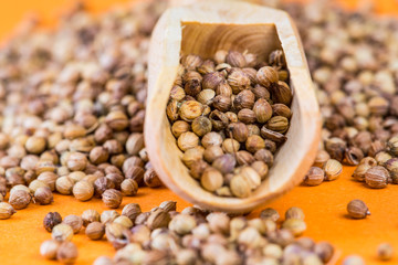 coriander on an orange background