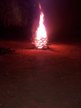 fire in forest