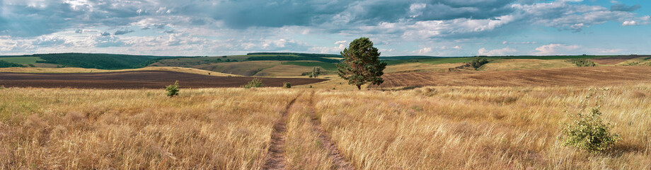 Panoramic landscape of central Russia agricultural countryside with hills and country road. Summer landscape of the Samara valleys. Russian countryside. High resolution file for large format printing. - 278439486