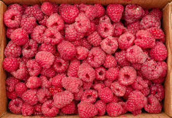 box of fresh ripe raspberry