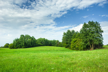 Fototapeta na wymiar Green hilly meadow and trees, white clouds and blue sky