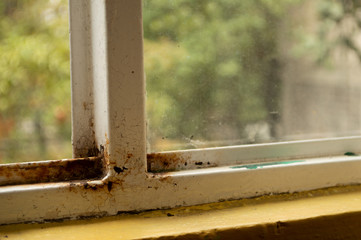  dirty and modern dirty window