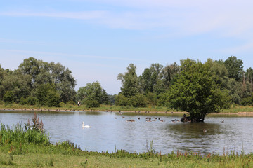 Une promenade aux Pays-Bas