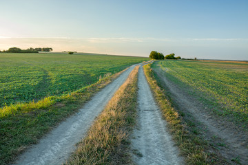 Fototapeta na wymiar Country road through green fields, horizon and sky