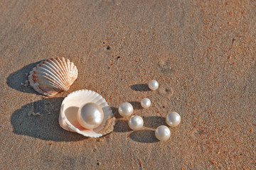 Shells, pearl , starfish on sand 