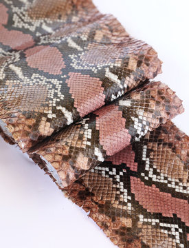 Snake Skin Python On White Background